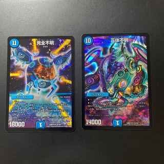 完全不明 正体不明