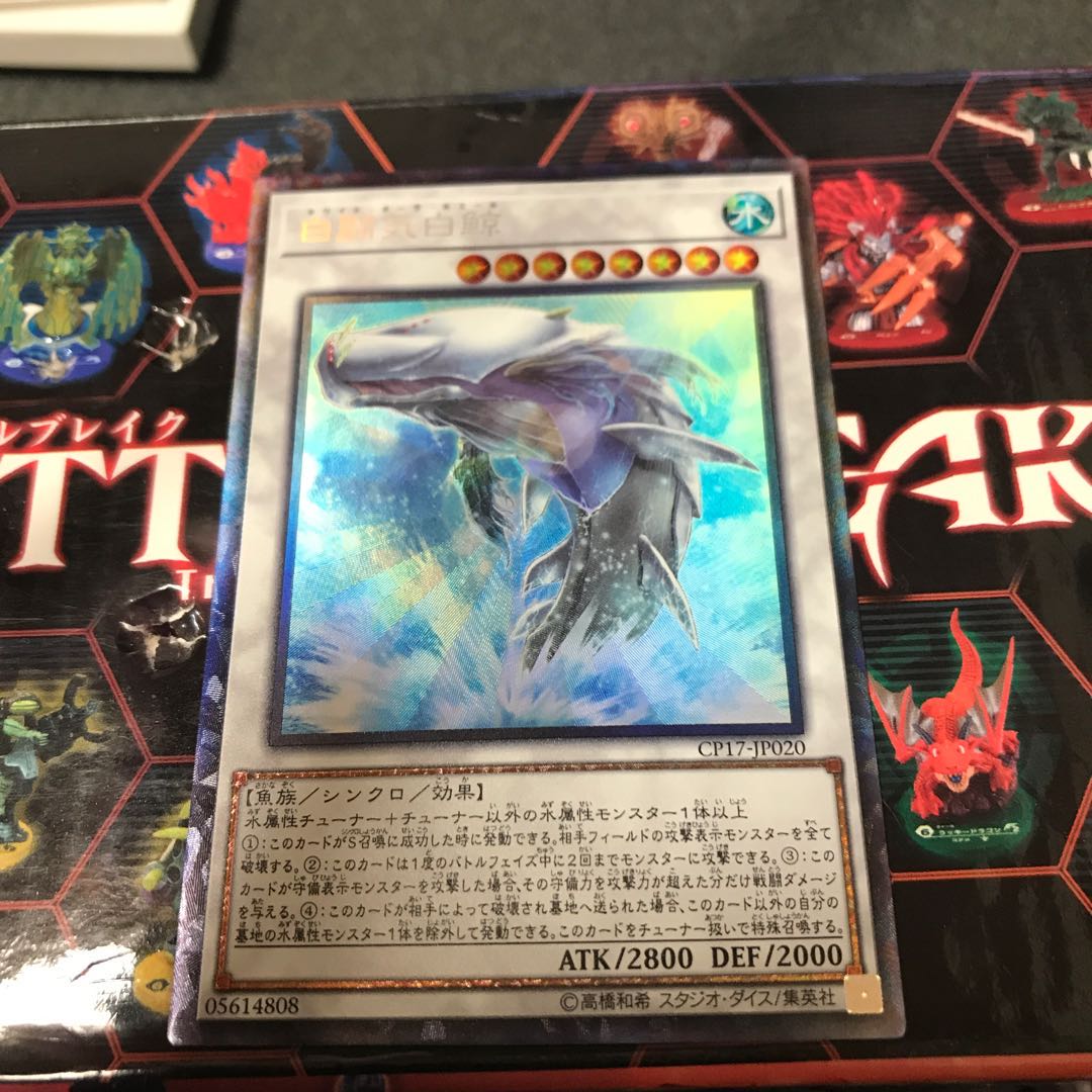 白闘気白鯨 コレクターズレア