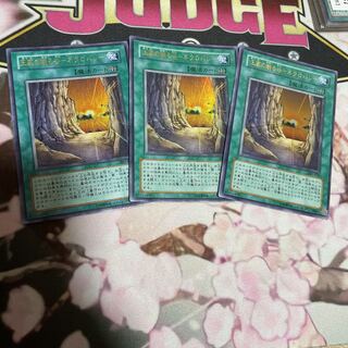 Valley of the Sleeping Kings - Necro Valley Ultra 3pcs