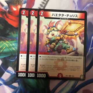 ハエタタ・チュリス