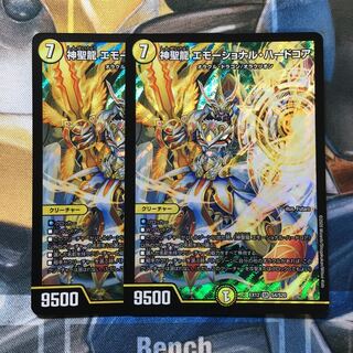 神聖龍 エモーショナル・ハードコア