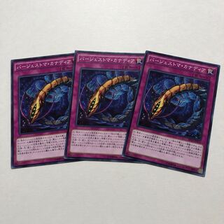 バージェストマ・カナディア ノーマル