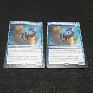 天上の餌あさり英語版2枚セット