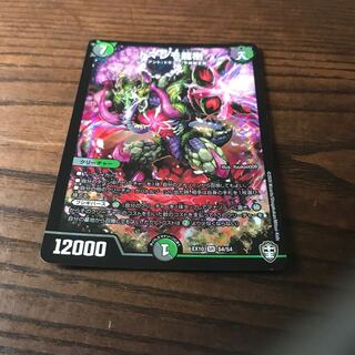 ドマンモ龍樹 SR