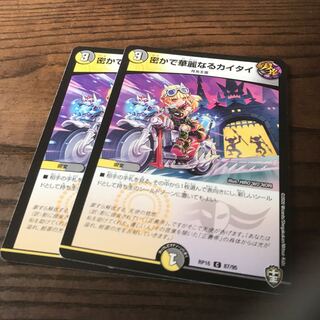 密かで華麗なるカイタイ