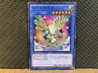 【ぽぽたん】遊戯王 10710 神光の宣告者 ノーパラ