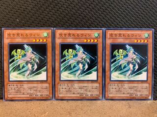 [Popotan] Yu-Gi-Oh! 10776 Storming Wynn 3 cards Normal