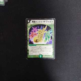 爆進イントゥ・ザ・ワイルド① 初期