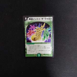 爆進イントゥ・ザ・ワイルド②