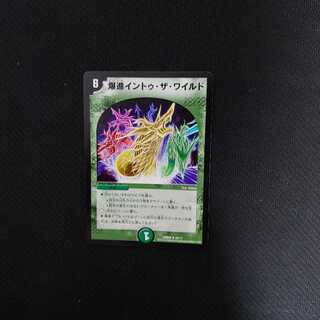 爆進イントゥ・ザ・ワイルド③