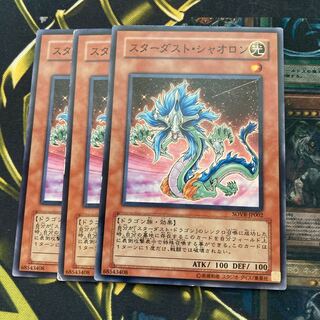 マドレース641スターダスト・シャオロン ノーマル