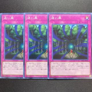 迷い風　ノーマル　3枚セット