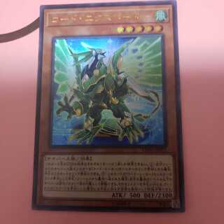 コード・エクスポーター ウルトラレア