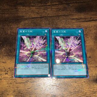 聖蔓の交配　ノーパラ　2枚