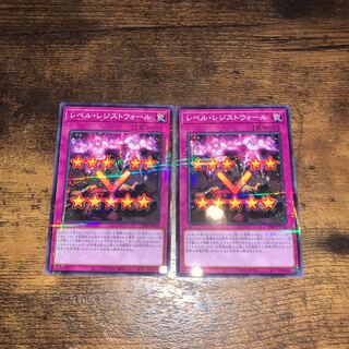 レベル・レジストウォール　ノーパラ　2枚