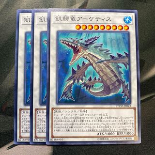 飢鰐竜アーケティス ノーマル