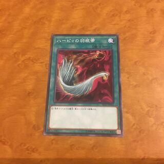 ハーピィの羽根帚 ノーマル