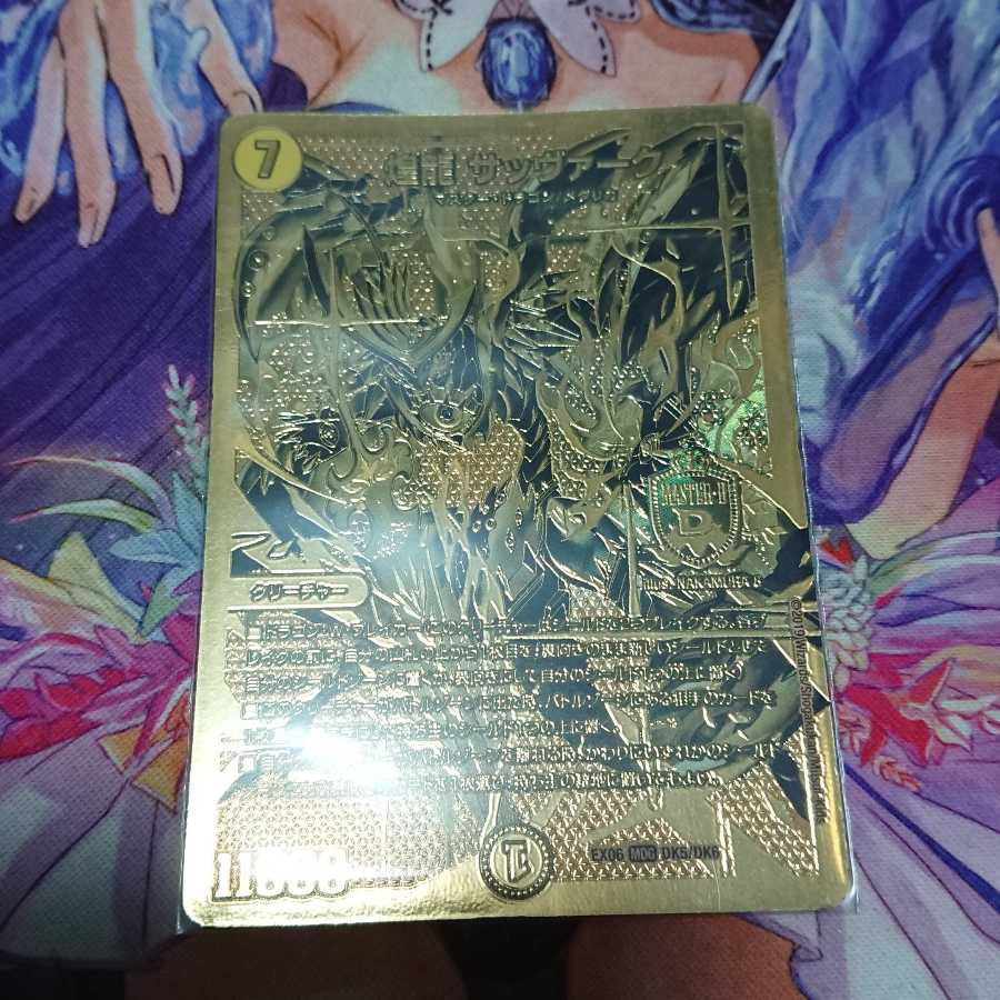 煌龍 サッヴァーク