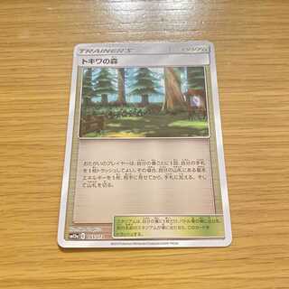 トキワの森（ミラー）