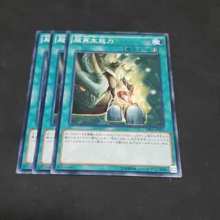 超再生能力 ノーマル 遊戯王 虎ふぐ