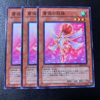 薔薇の妖精 ノーマル