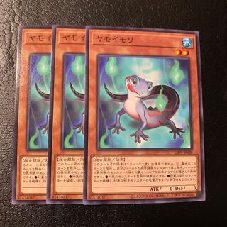 ヤモイモリ ノーマル