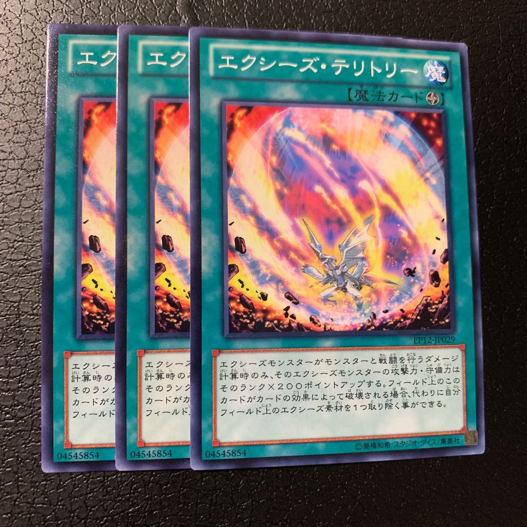 エクシーズ・テリトリー ノーマル