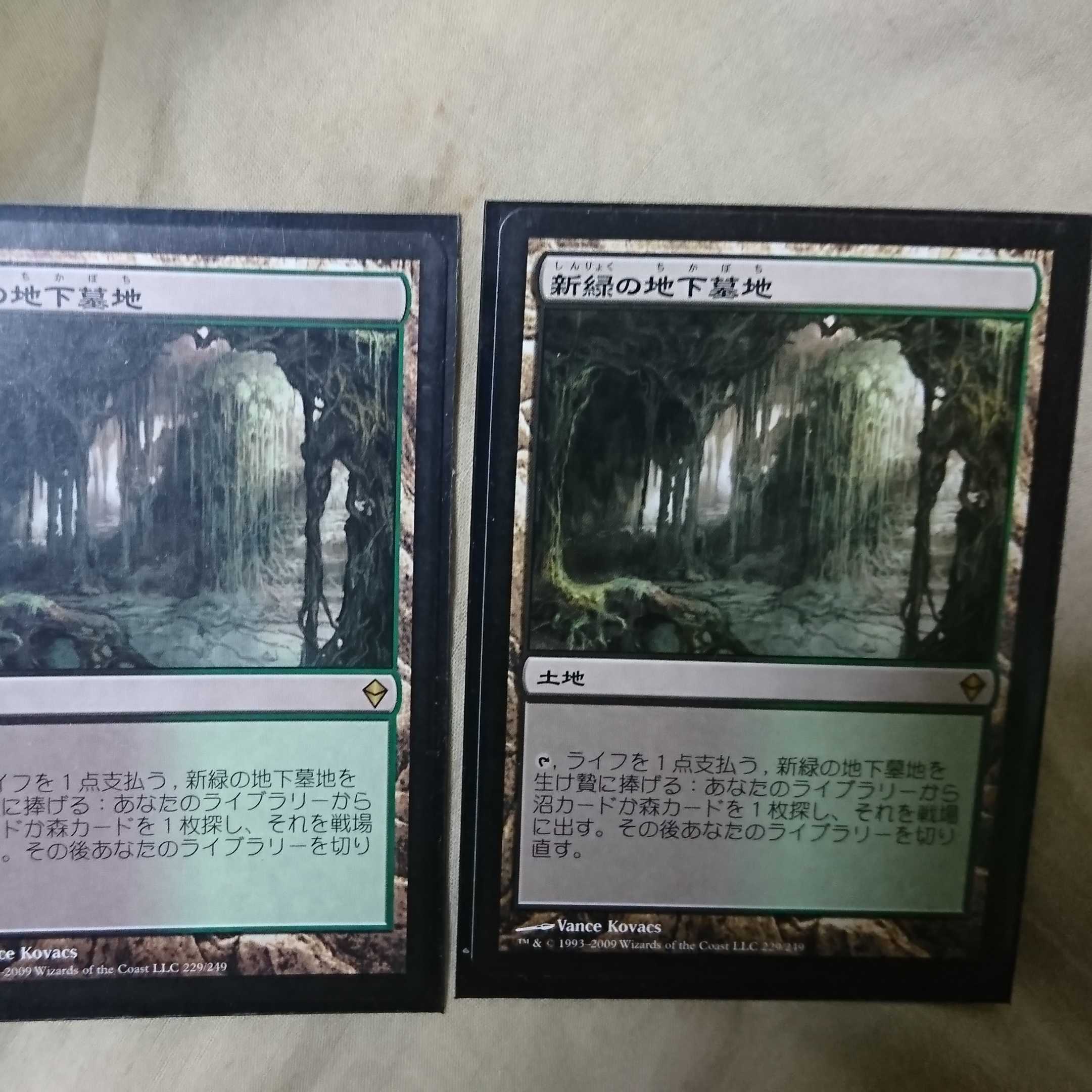 新緑の地下墓地  日２枚