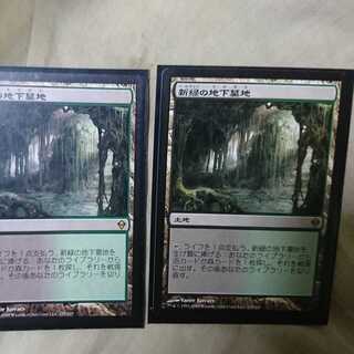 新緑の地下墓地  日２枚