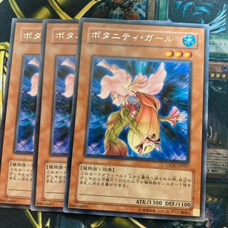 マドレース133ボタニティ・ガール レア