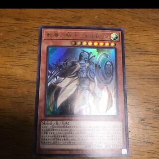 教導の騎士フルルドリス ウルトラレア