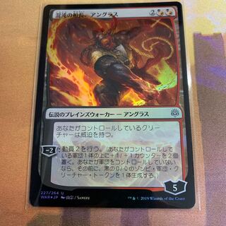 MTG 混沌の船長、アングラス foil 絵違い