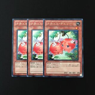 b69 ナチュル・チェリー レア 3枚セット 遊戯王 トレトレ