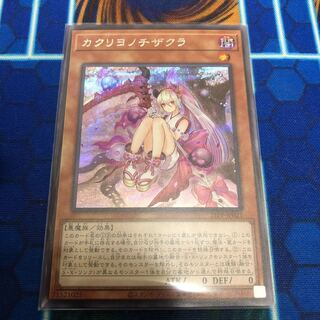 カクリヨノチザクラ　シークレットレア　プレミアムパック2021