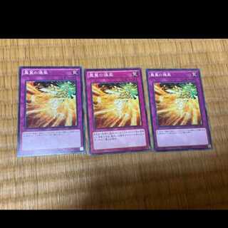 Yu-Gi-Oh Phoenix Wing Wind Blast 3 cards Model No. A-630
