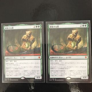 探索する獣 2枚セット