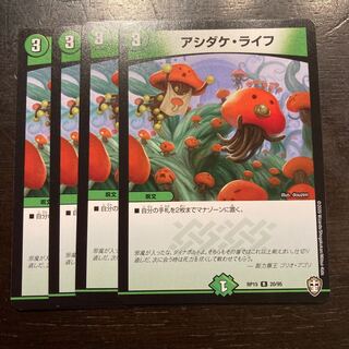 ASHIDAKE LIFE R 20/95