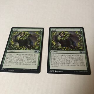 夏の帳　veil of summer 日本語二枚