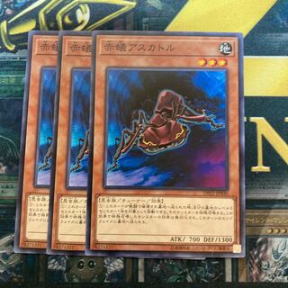 マドレース299赤蟻アスカトル ノーマル