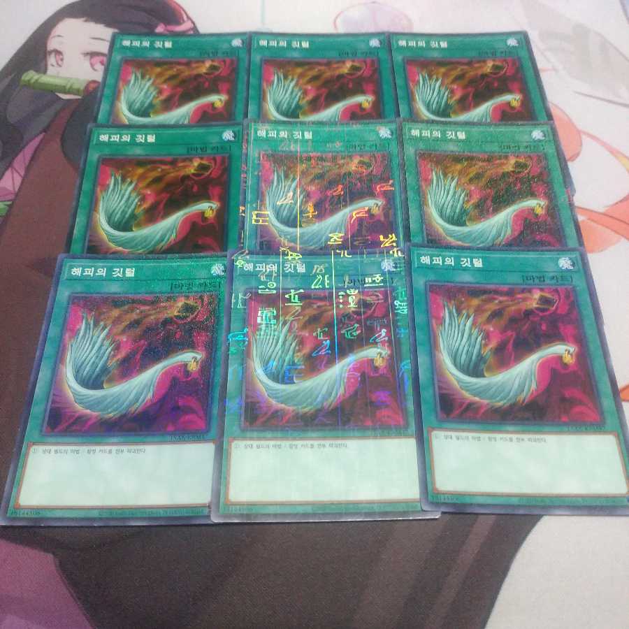 韓国　ハーピィの羽根帚 ノーマル