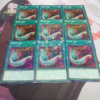 韓国　ハーピィの羽根帚 ノーマル