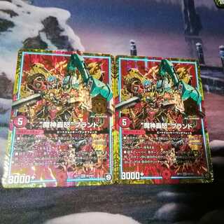 (追跡発送、防水、硬質カードケース使用)“魔神轟怒”ブランド ２枚 アカマル