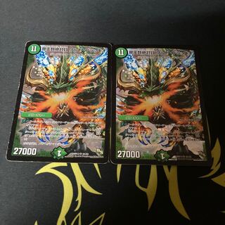 界王類絶対目 ワルド・ブラッキオ ホーリー