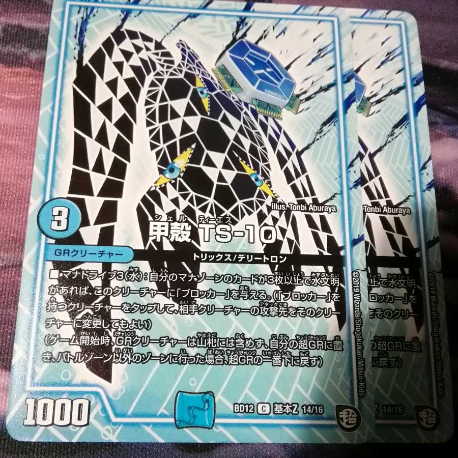 甲殻 TS-10 ２枚 アカマル