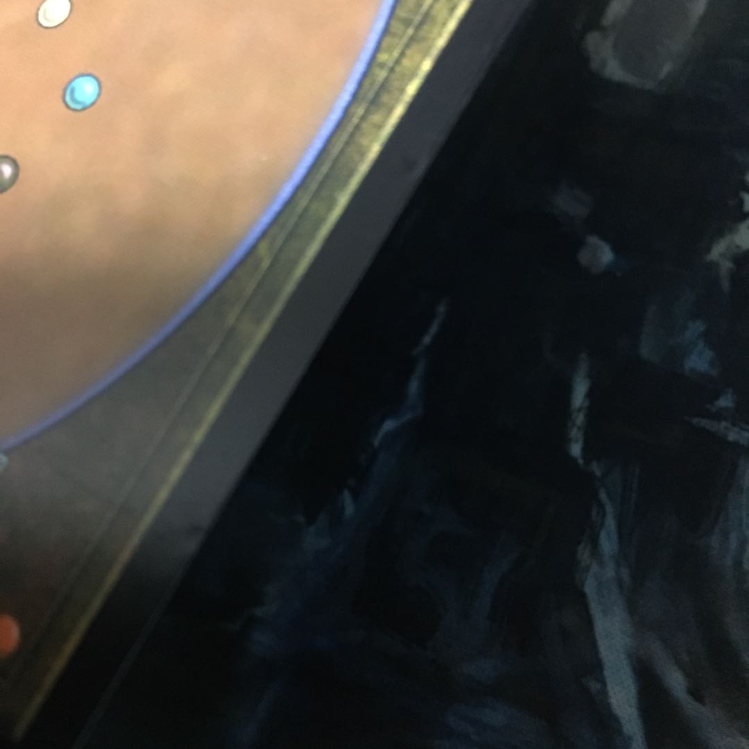 外科的摘出　2枚セット