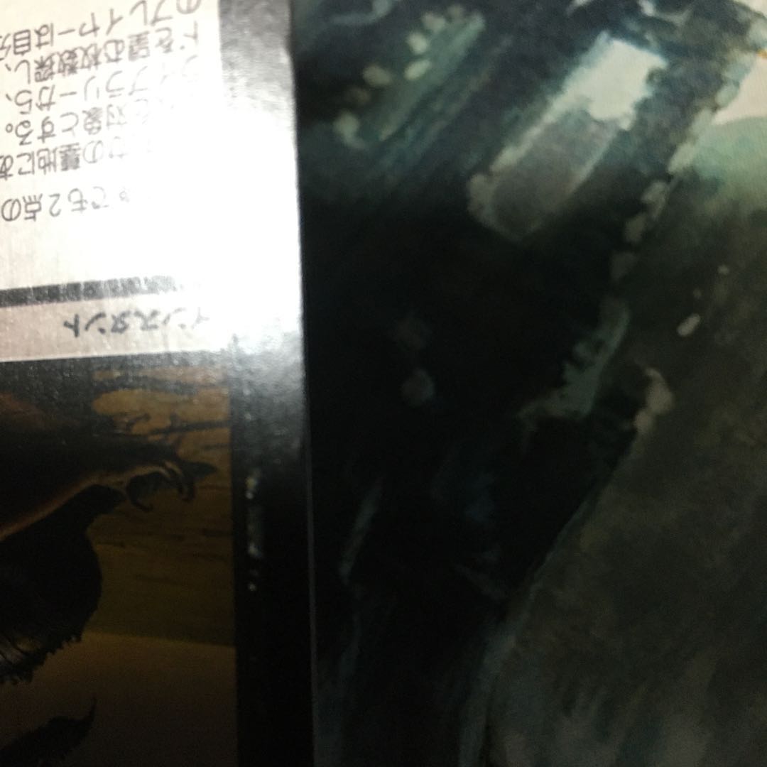 外科的摘出　2枚セット