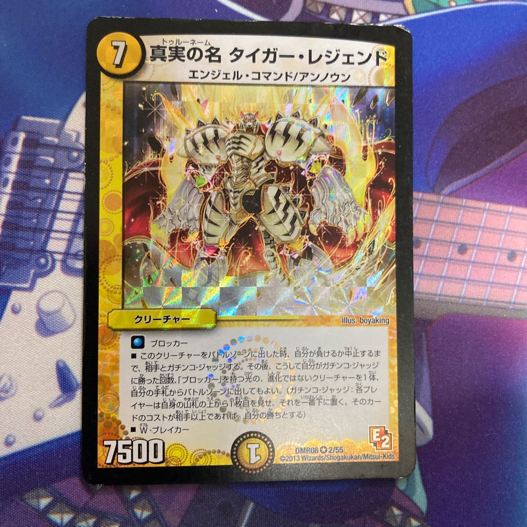 真実の名 タイガー・レジェンド