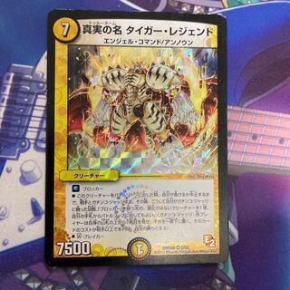 真実の名 タイガー・レジェンド