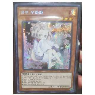 灰流うらら シークレットレア 韓国版