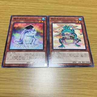 Ronintoadin Dupe Frog